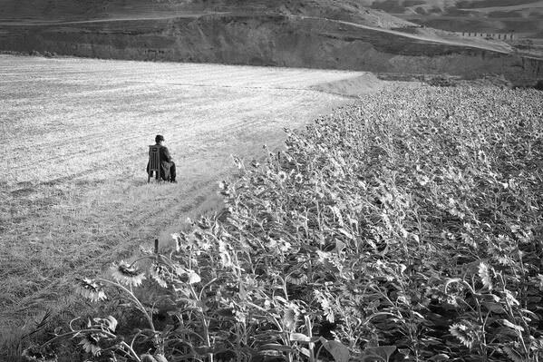 Photograph Arezoo Arianpour The Cycle Of Hope on One Eyeland