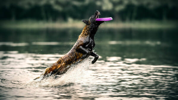 Photograph Lucie Nermutova Flight Mode Activated on One Eyeland