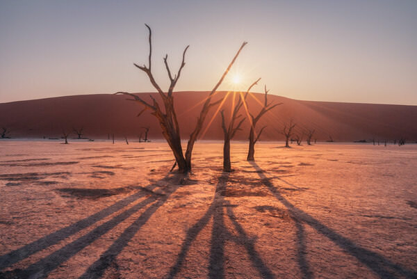 Photograph Daniel Vine Garcia Deadvlei on One Eyeland