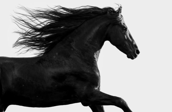 Photograph Helga Madajova Doede on One Eyeland