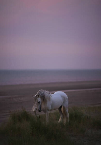 Photograph Helga Madajova Yute And The Sea on One Eyeland