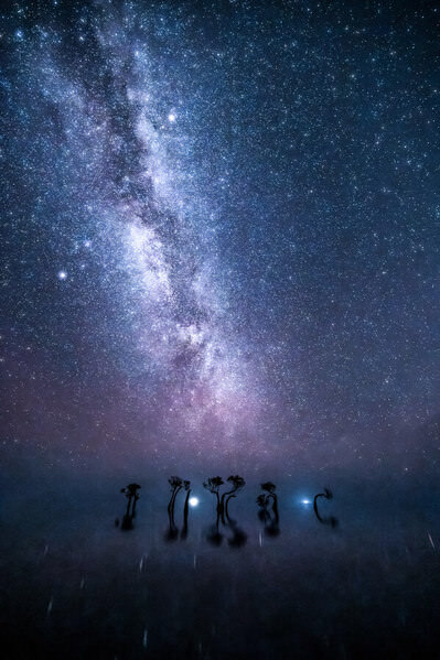Photograph Ryuhei Suguri Starry Sky In Sumba on One Eyeland