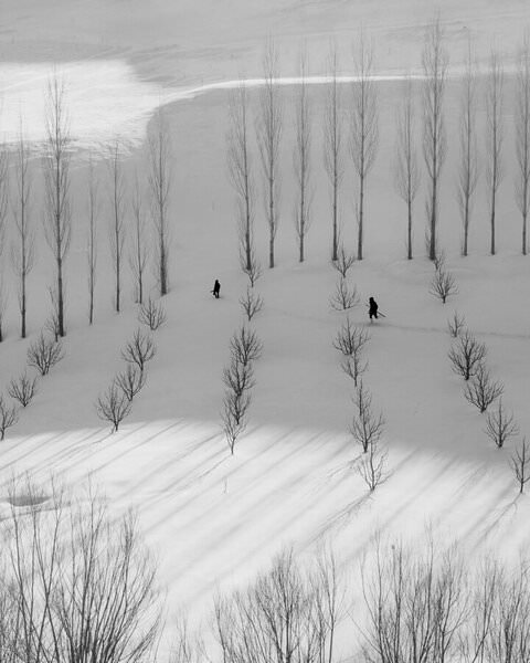 Photograph Mohammad Alipour Snow Day on One Eyeland
