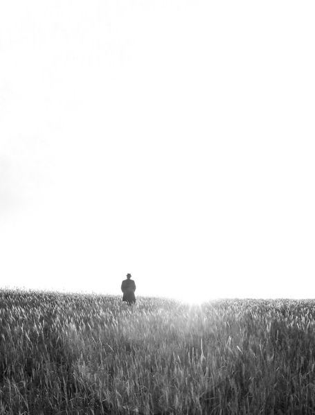 Photograph Arezoo Arianpour Farewell To The Light on One Eyeland