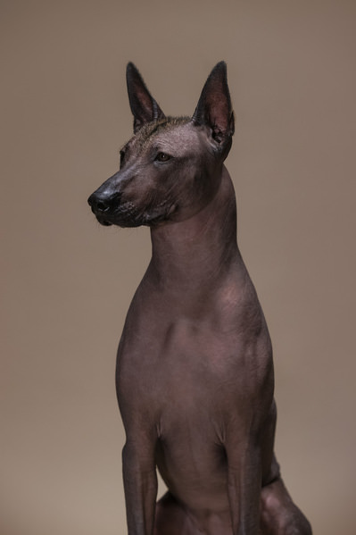 Photograph Helga Madajova Davina on One Eyeland