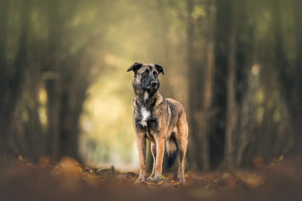 Photograph Lucie Nermutova Autumn Is Coming on One Eyeland