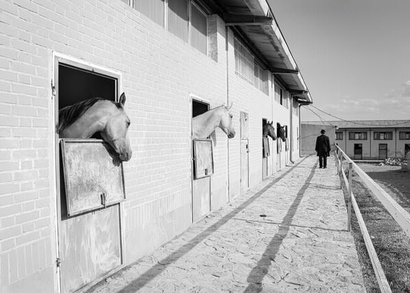Photograph Arezoo Arianpour We Wait on One Eyeland