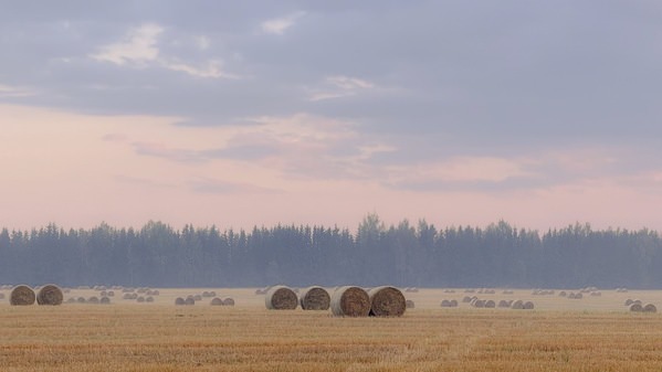 Photograph Lena Bashmakova Gentle Sunset Over The Field on One Eyeland