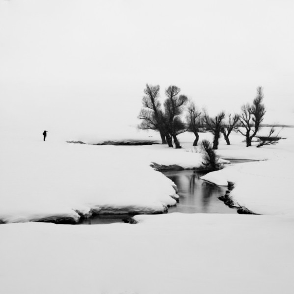 Photograph Mohammad Alipour Photographer on One Eyeland