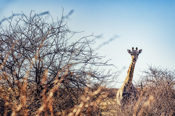Photograph Eugenia Kyriakopoulou Hey There on One Eyeland