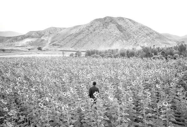 Photograph Arezoo Arianpour Silent Resurrection on One Eyeland