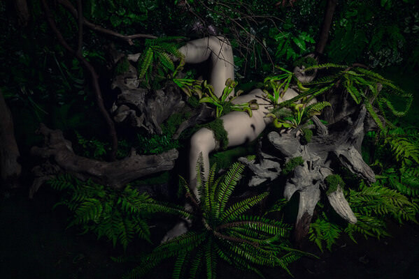 Photograph Danduka Yasuo Decay on One Eyeland