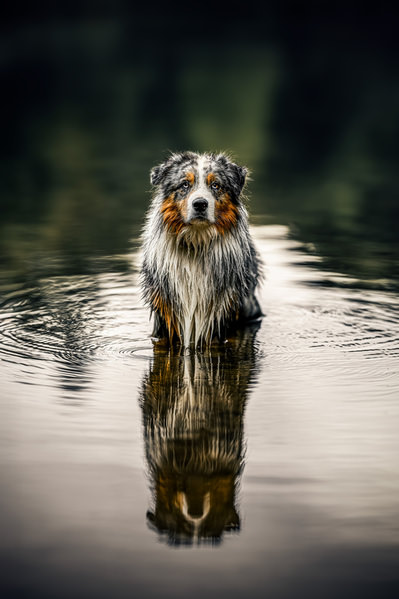Photograph Lucie Nermutova The Waters Spirit on One Eyeland