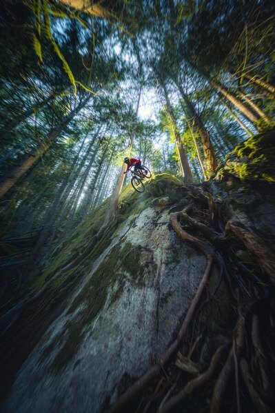 Photograph Joe Wakefield Mountain Of Moss on One Eyeland