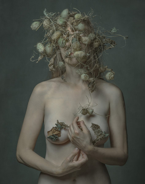 Photograph Elena Donskaya Autumn Vibes on One Eyeland