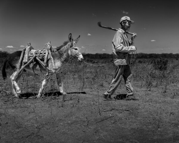 Photograph Luiz Paulo Grinberg Antonio Oropa And The Donkey on One Eyeland