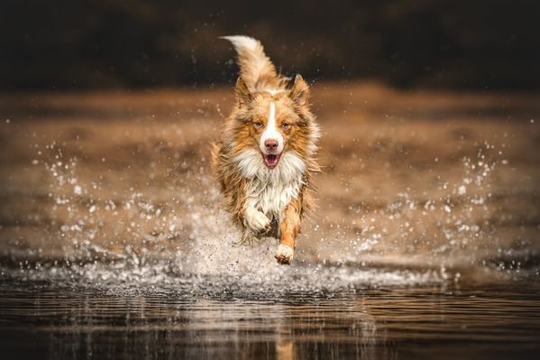Photograph Lucie Nermutova Wild Heart Water Soul on One Eyeland