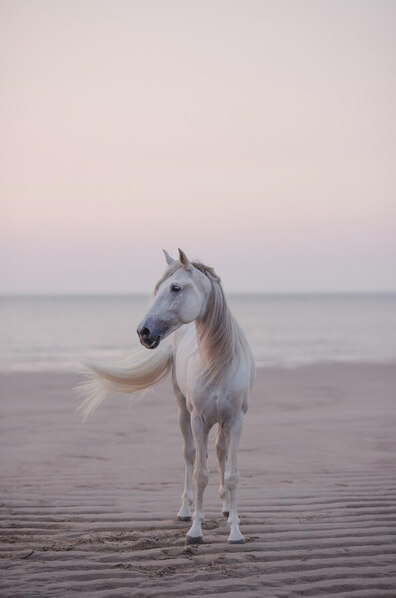 Photograph Helga Madajova Yute And The Sea Iii on One Eyeland