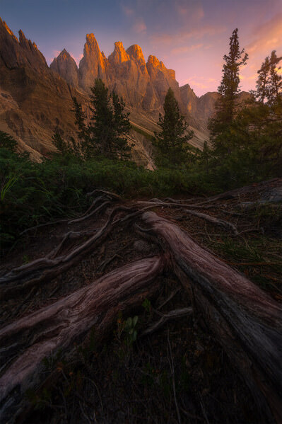 Photograph Markus Albert Last Light on One Eyeland