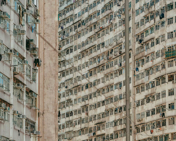 Photograph Yulia Kozina Urban Hive on One Eyeland