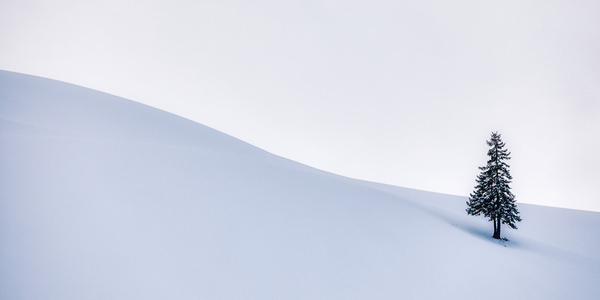 Photograph Judith Kuhn Solitude on One Eyeland
