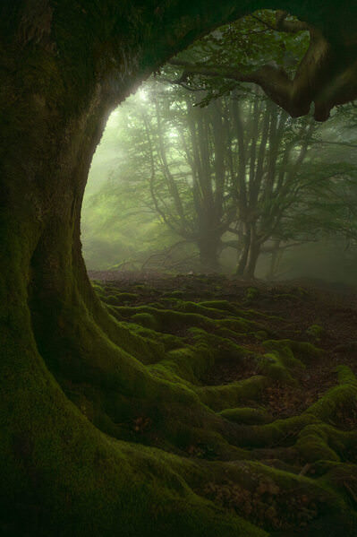 Photograph Markus Albert Guardians on One Eyeland