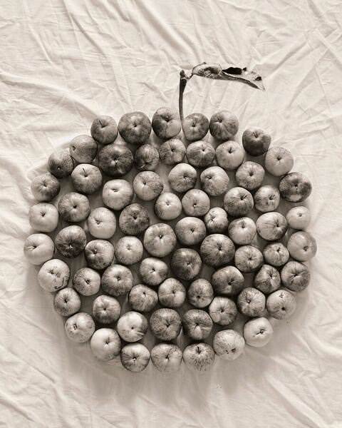 Photograph Evgeniia Nikishina Apple on One Eyeland