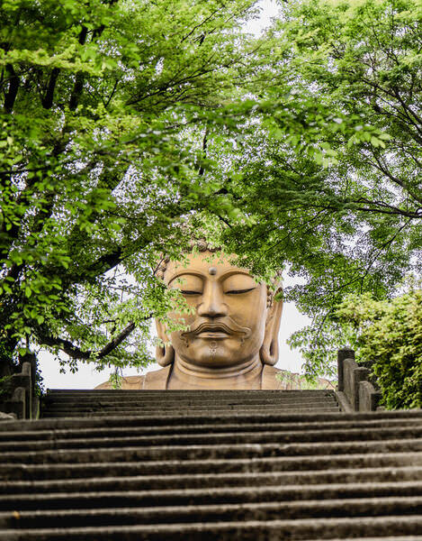 Photograph Mel Yukiina Serenity In The Green on One Eyeland