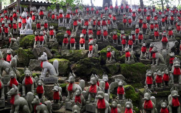 Photograph Mel Yukiina Foxes on One Eyeland