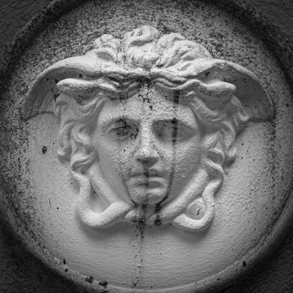 Photograph Peter Dolniak Medusa on One Eyeland