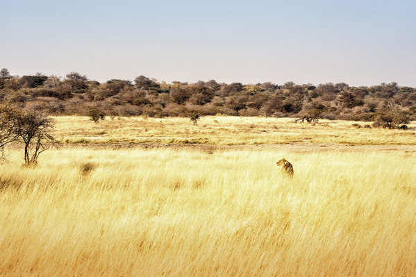 Photograph Eugenia Kyriakopoulou On The Hunt on One Eyeland