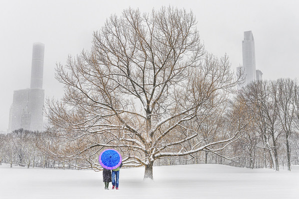 Photograph Mitchell Funk Snowstorm Nyc on One Eyeland