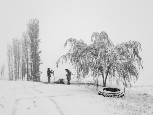 Photograph Mohammad Alipour Snow Day on One Eyeland