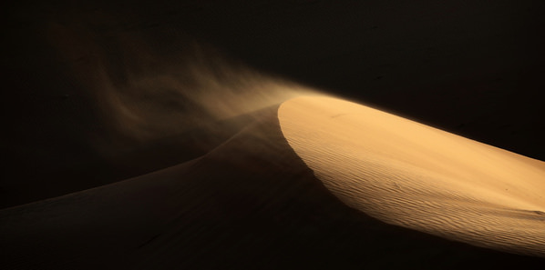 Photograph Judith Kuhn Blowin In The Wind on One Eyeland