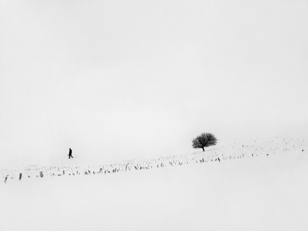 Photograph Mohammad Alipour Winter on One Eyeland