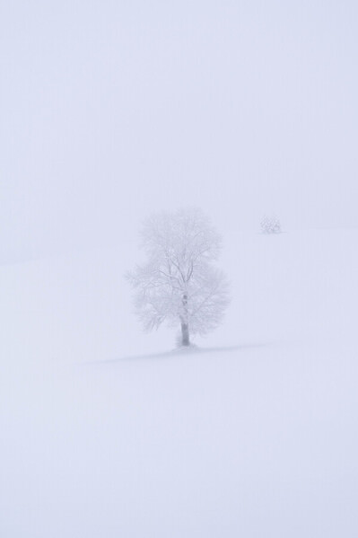 Photograph Markus Albert Not Alone on One Eyeland