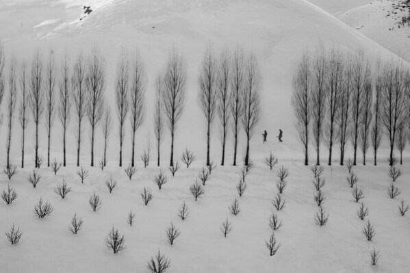 Photograph Mohammad Alipour Snow Day on One Eyeland