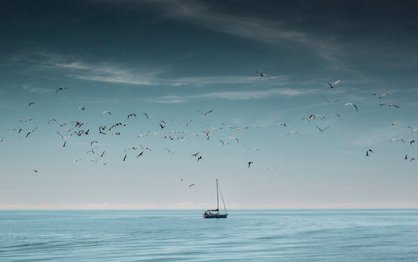 Photograph Ferg Flannery Setting Sail on One Eyeland