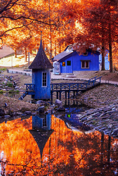Photograph Tamau Tamau Moomin Valley In Autumn Colors on One Eyeland