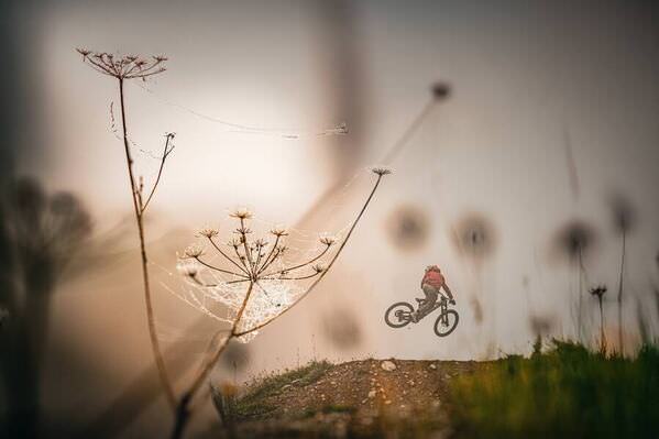 Photograph Michael Pecsi Fogtober on One Eyeland