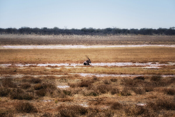 Photograph Eugenia Kyriakopoulou A Moment Of Rest on One Eyeland