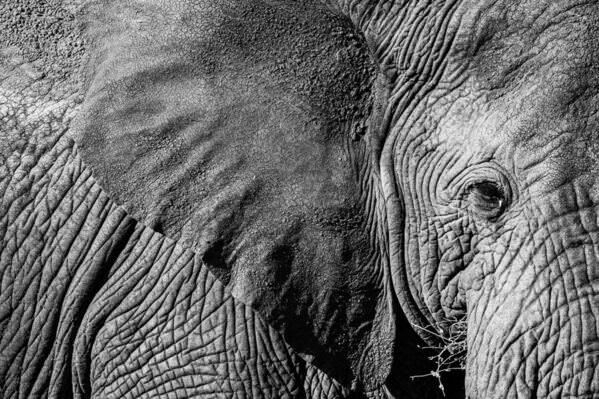 Photograph Robin Verheggen The Friendly Giant on One Eyeland