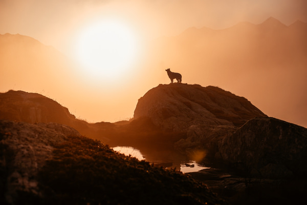 Photograph Fabienne Gassmann Mountain Sunrise on One Eyeland