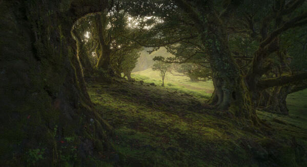 Photograph Markus Albert Youngling on One Eyeland