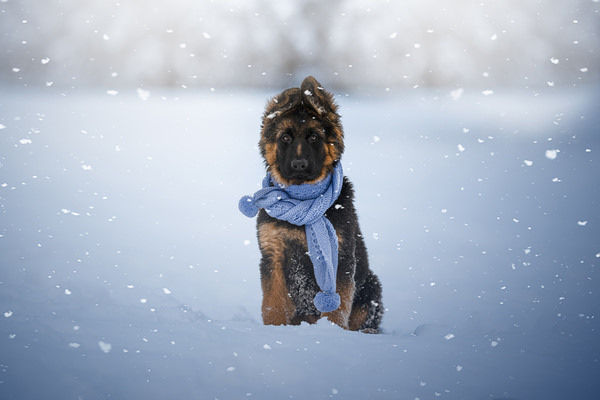 Photograph Lucie Nermutova Winter Wonderland on One Eyeland