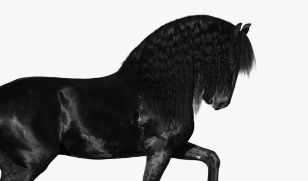 Photograph Helga Madajova Doede on One Eyeland