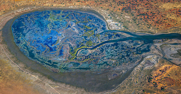 Photograph Satheesh Nair Shark Bay 0038_1cb on One Eyeland