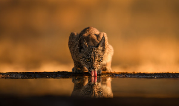 Photograph Tony Constantinides Hope on One Eyeland