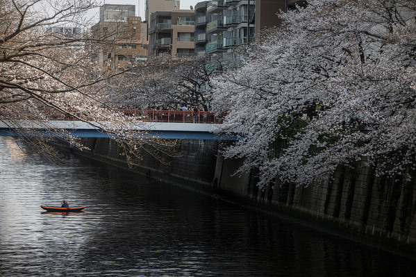 Photograph Setsuna Kurouzu Meguro River on One Eyeland