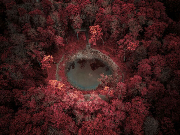 Photograph Ricardas Markovskis Fallen Star on One Eyeland